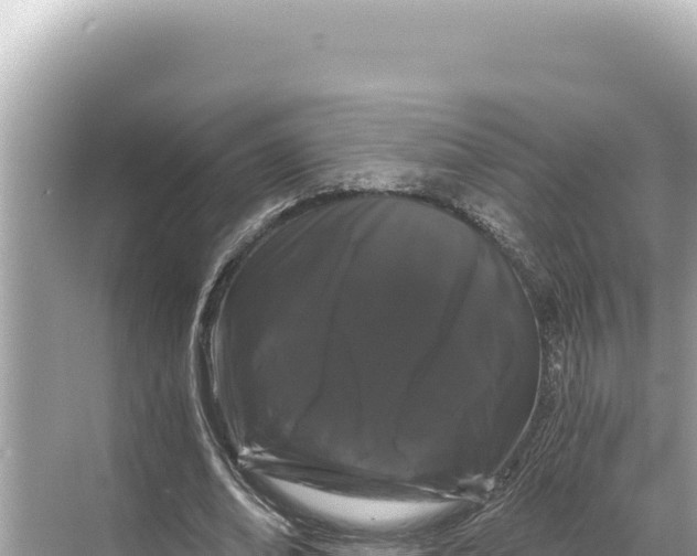 X0000068260678200605051750