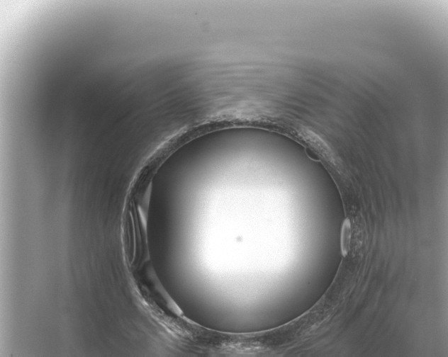 X0000068260680200605051750