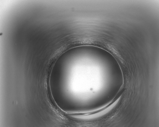 X0000068260681200605051750