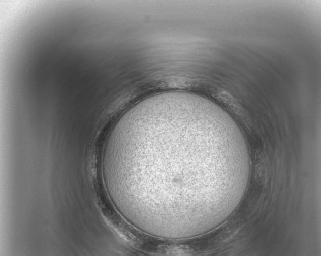 X0000068260683200605051750