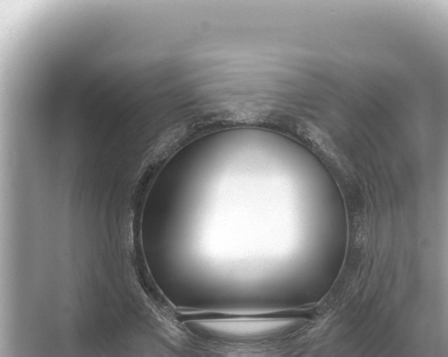 X0000068260685200605051749