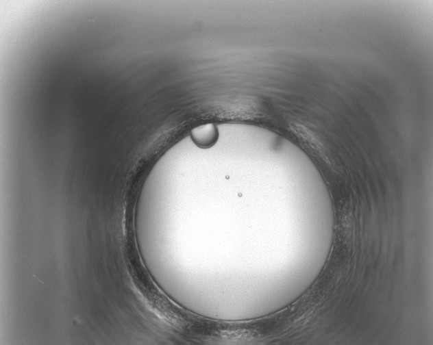 X0000068260686200605051749