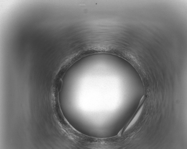 X0000068260688200605051749