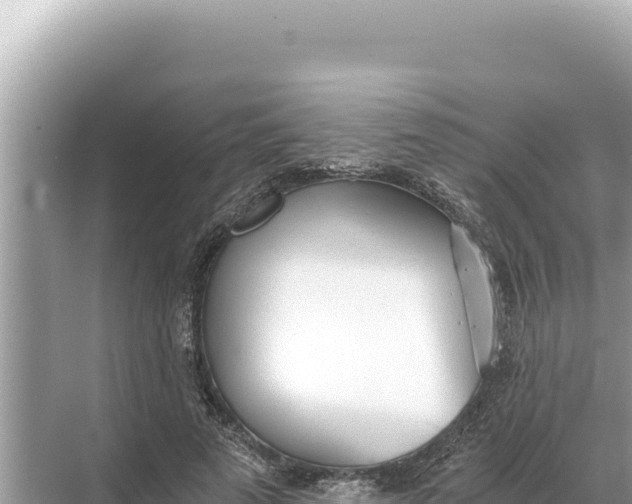 X0000068260689200605051749