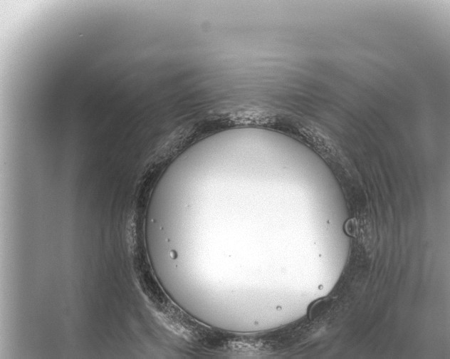 X0000068260690200605051749