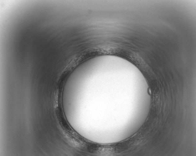 X0000068260694200605051749