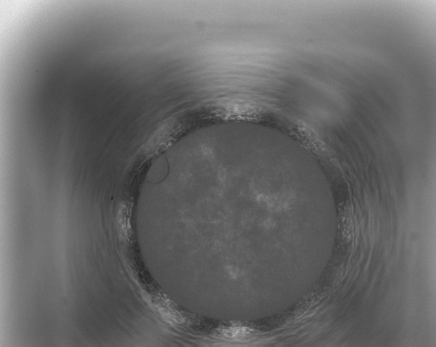 X0000068260695200605051749