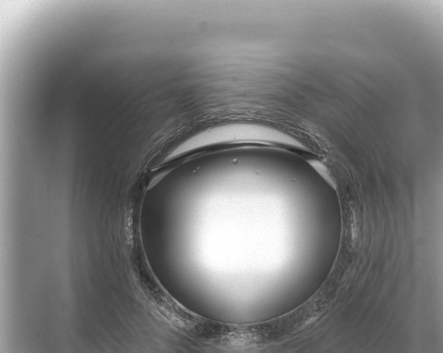 X0000068260696200605051749