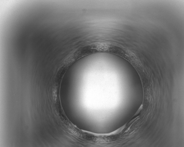 X0000068260697200605051749