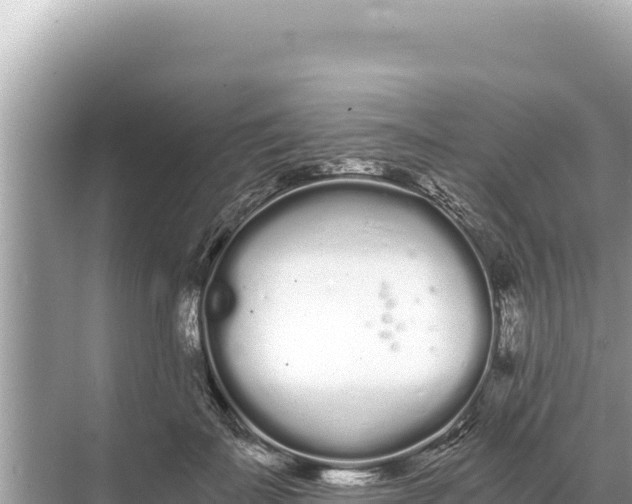 X0000068260699200605051749