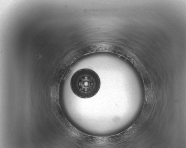 X0000068260701200605051749