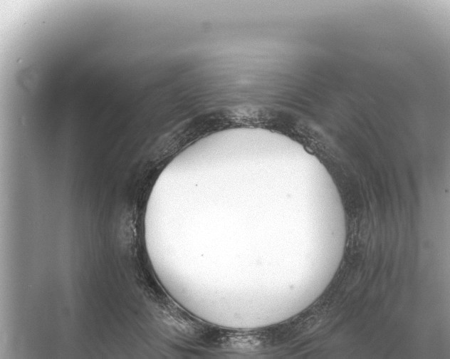 X0000068260702200605051749