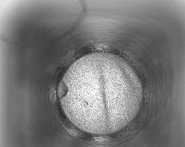 X0000068260703200605051749