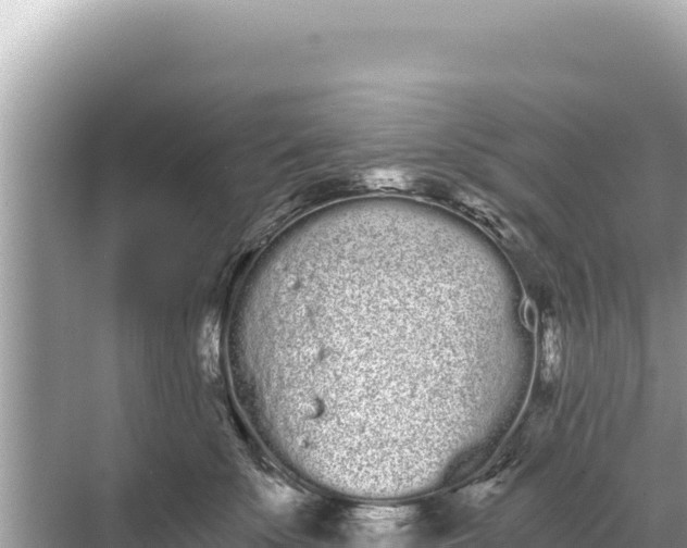 X0000068260707200605051749