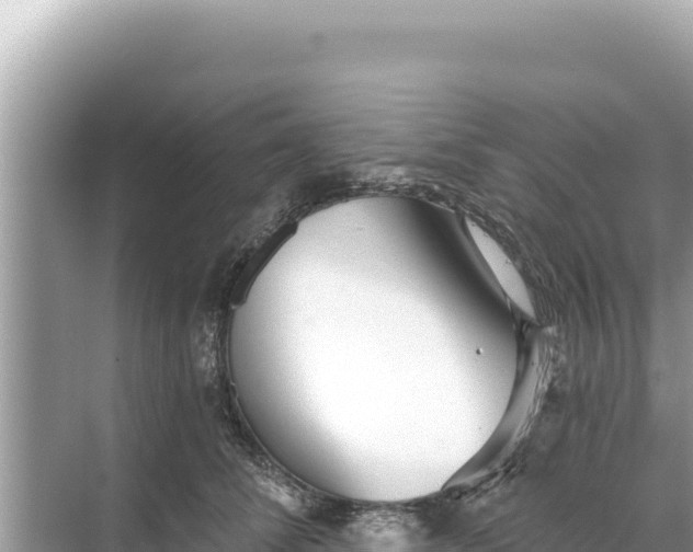 X0000068260708200605051749