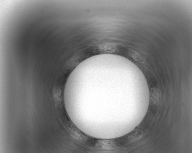 X0000068260713200605051749