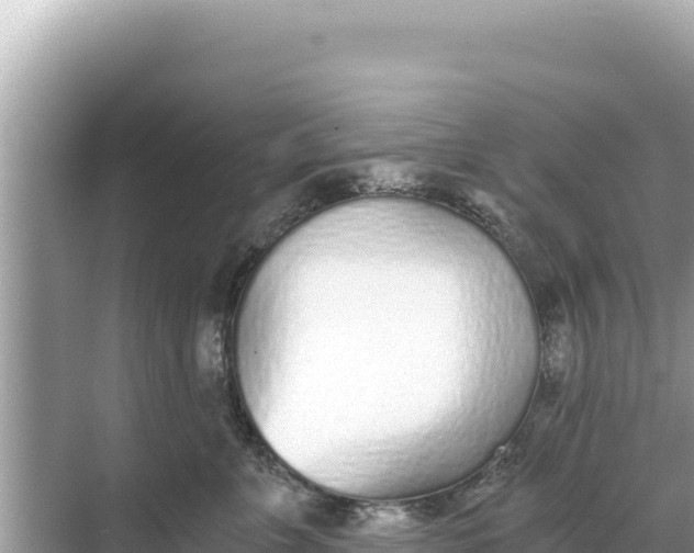 X0000068260715200605051749