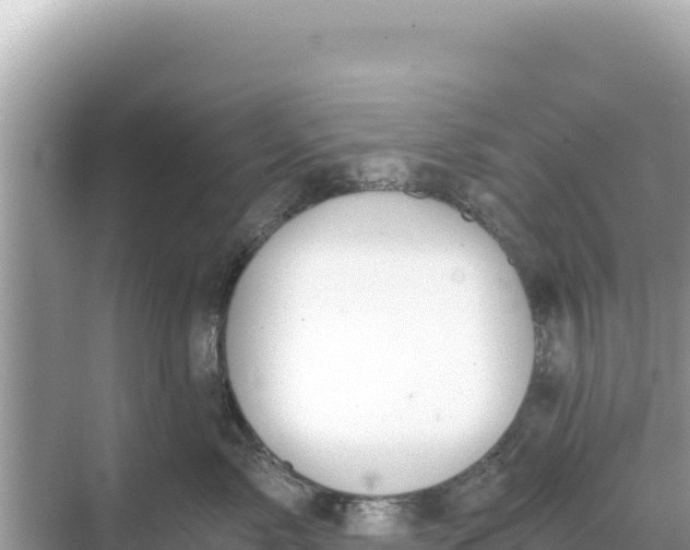 X0000068260717200605051749