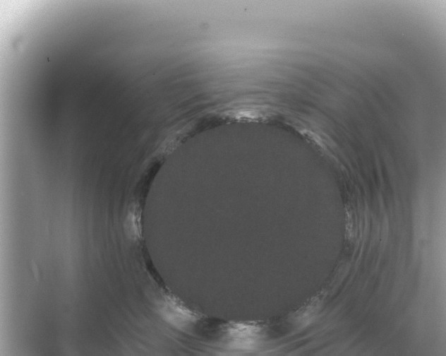 X0000068260718200605051749