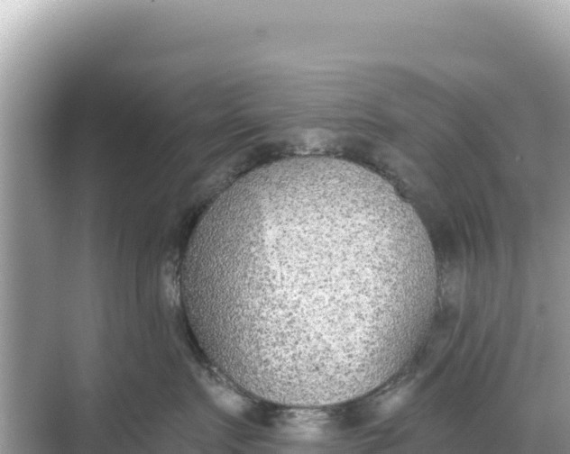 X0000068260719200605051749