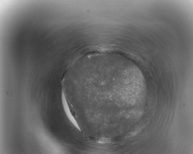 X0000068260720200605051749