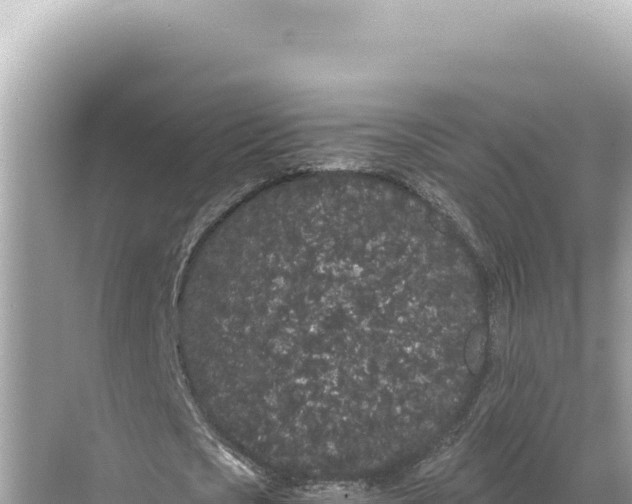 X0000068260721200605051748