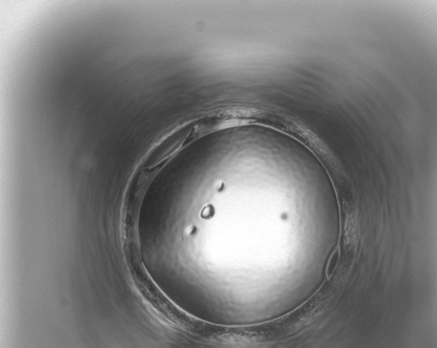 X0000068260722200605051748