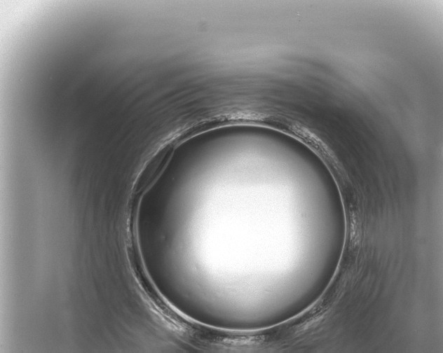 X0000068260725200605051748