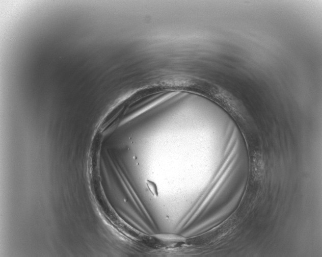 X0000068260726200605051748