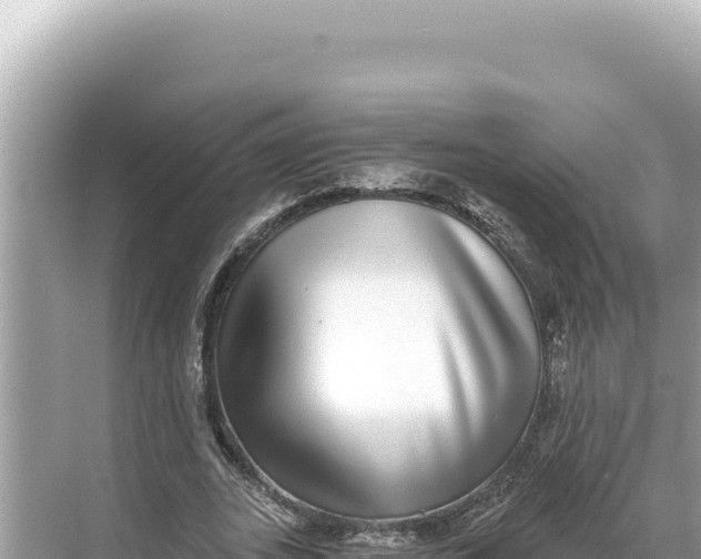 X0000068260727200605051748