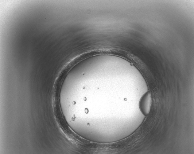 X0000068260728200605051748