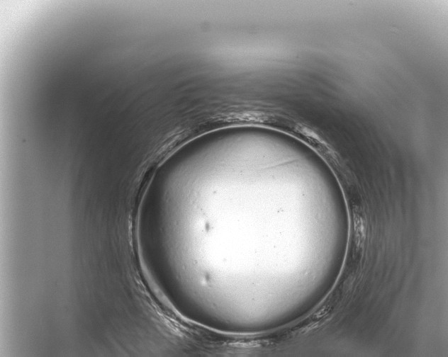 X0000068260729200605051748