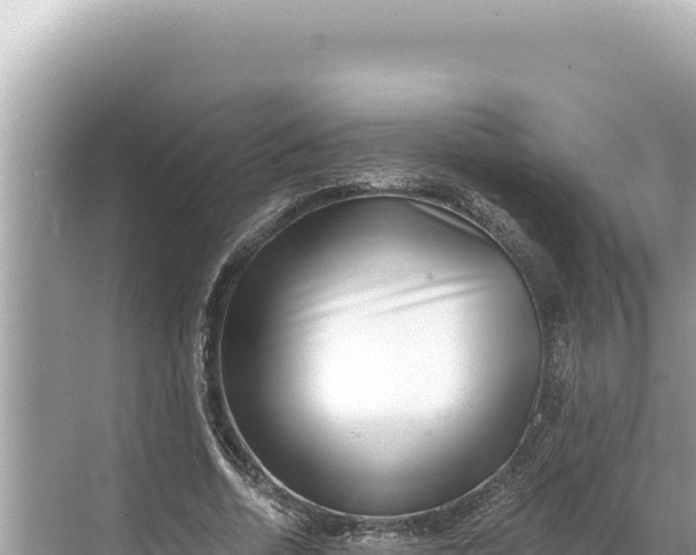 X0000068260730200605051748