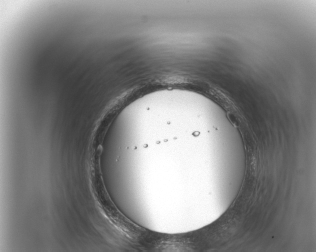 X0000068260732200605051748