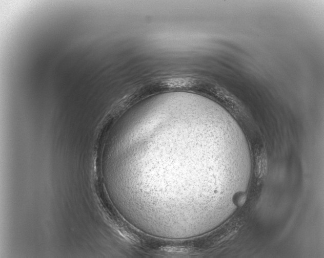 X0000068260733200605051748