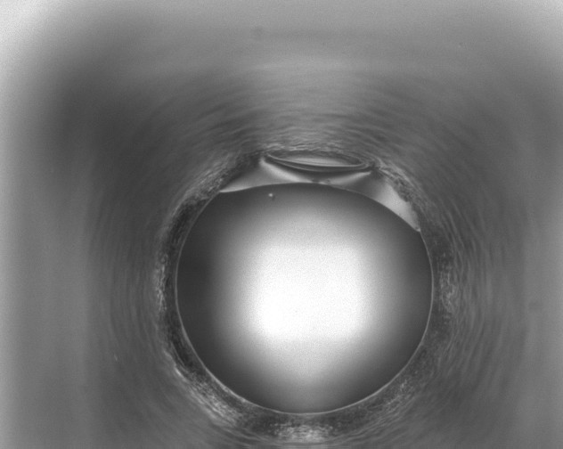 X0000068260735200605051748