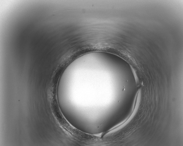 X0000068260736200605051748