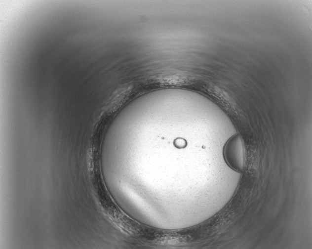 X0000068260738200605051748