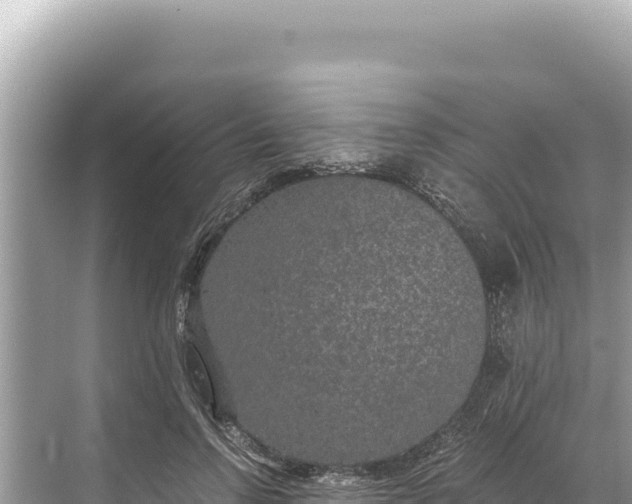 X0000068260742200605051748