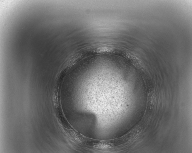 X0000068260743200605051748