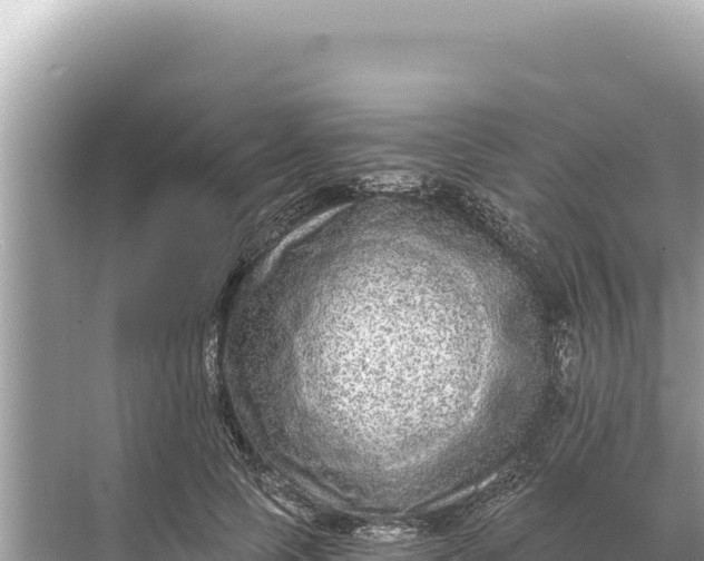 X0000068260745200605051749