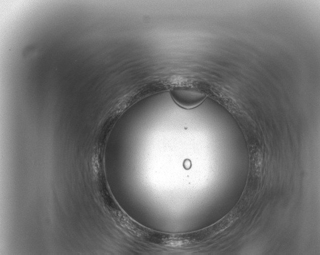 X0000068260746200605051749