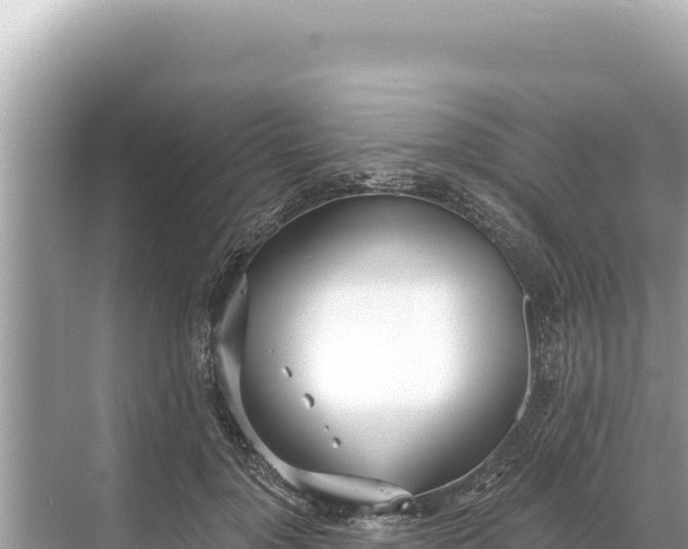 X0000068260748200605051749