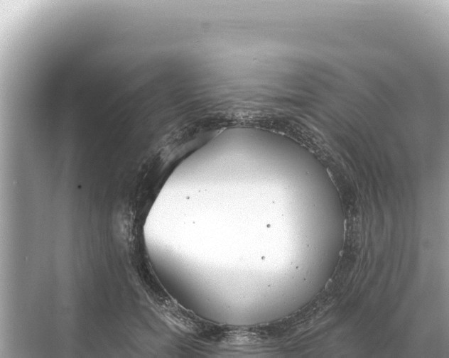 X0000068260750200605051749