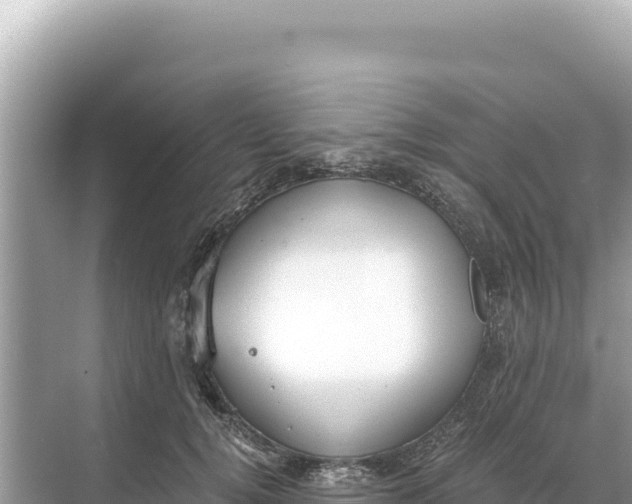 X0000068260752200605051749