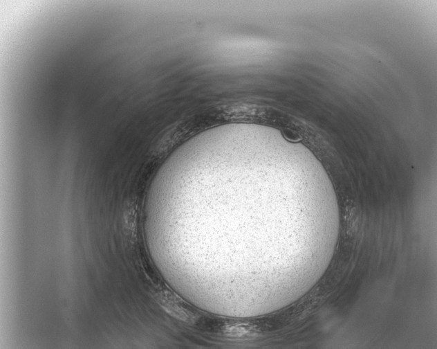 X0000068260753200605051749