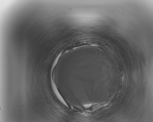 X0000068260754200605051749