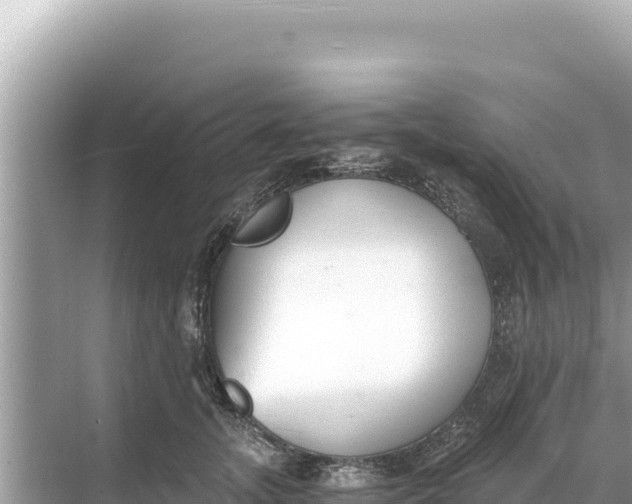 X0000068260755200605051749