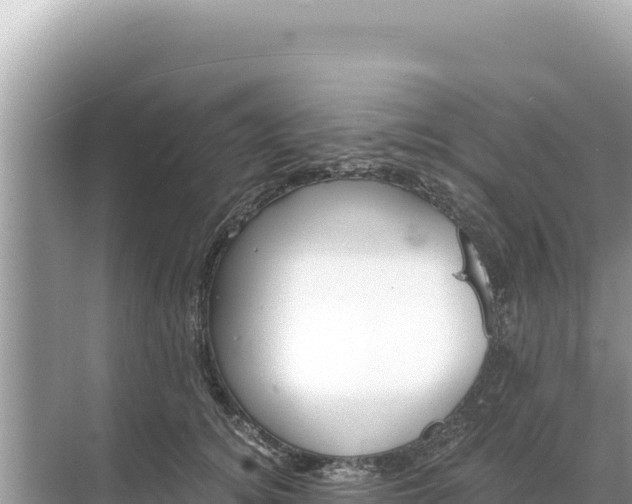 X0000068260756200605051749