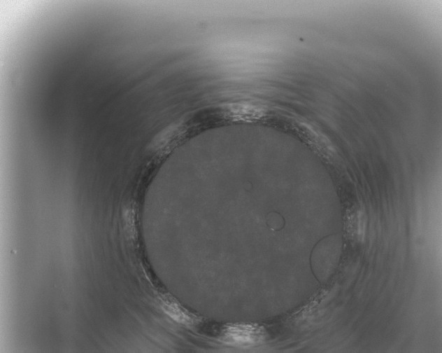 X0000068260757200605051749